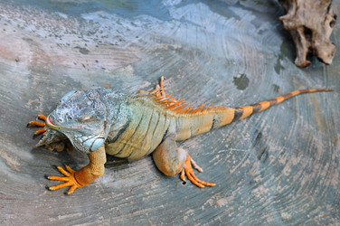 Similar image 13044235