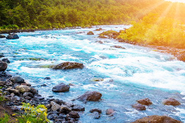 Similar image 13045010