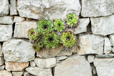 Similar image 13059829