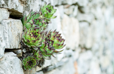 Similar image 13059830