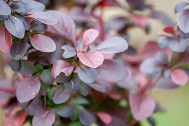 Similar image 13059835