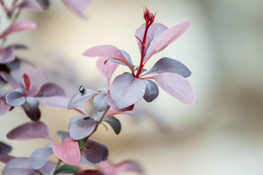 Similar image 13059848