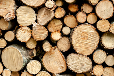 Similar image 13059849