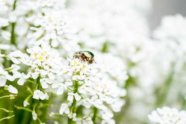 Similar image 13059850