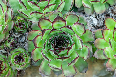 Similar image 13059862