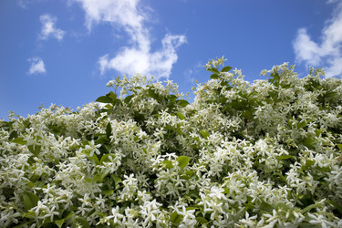 Similar image 13044843