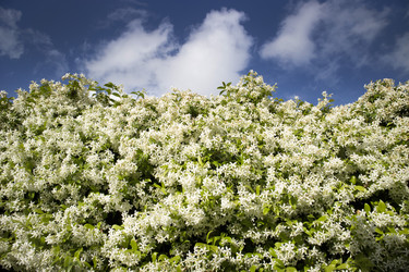 Similar image 13044846