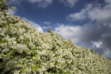 Similar image 13044847