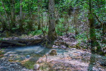 Similar image 13045947