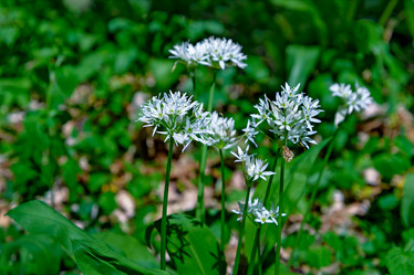 Similar image 13045949