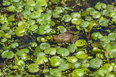 Similar image 13061953