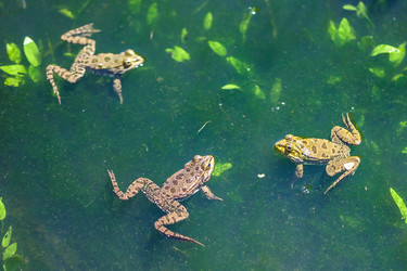 Similar image 13061955