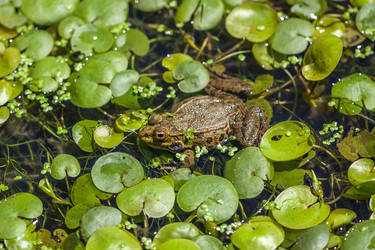 Similar image 13061960