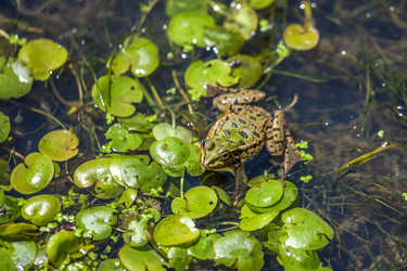 Similar image 13061963