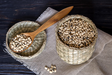 Similar image 13041118