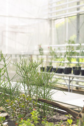 Similar image 13046022