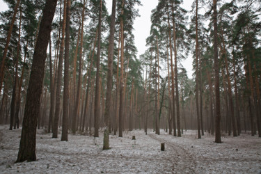 Similar image 13043637