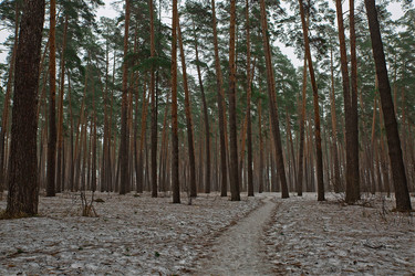 Similar image 13043638