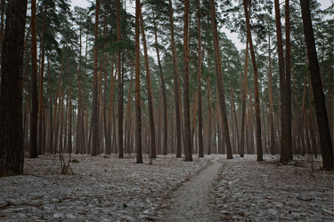 Similar image 13043657