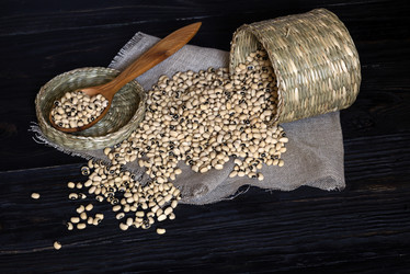 Similar image 13041120