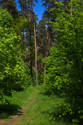 Similar image 13043676