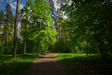 Similar image 13043693