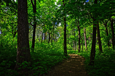 Similar image 13043866