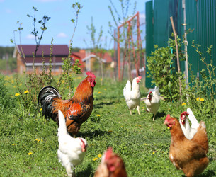 Similar image 13059108