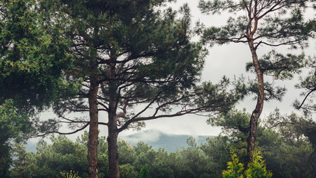 Similar image 13041045