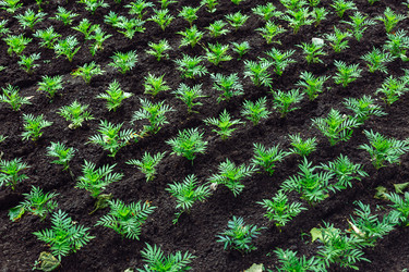 Similar image 13041046