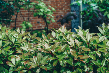 Similar image 13041047