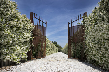 Similar image 13044850