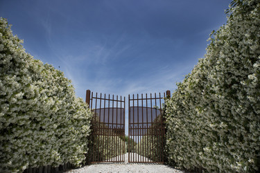 Similar image 13044851