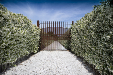 Similar image 13044852