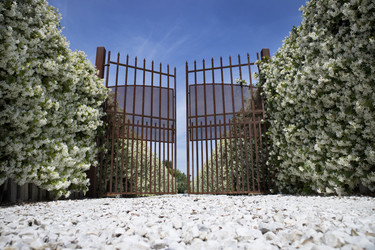 Similar image 13044856