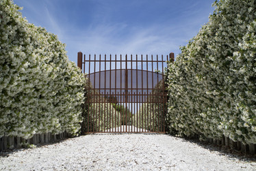 Similar image 13044858