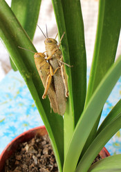 Similar image 13043898