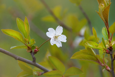 Similar image 13041438