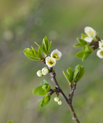 Similar image 13042626