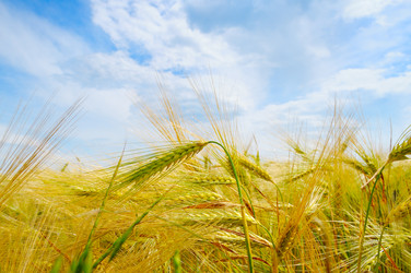 Similar image 13058973