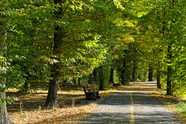 Similar image 13058991