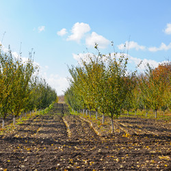 Similar image 13058994