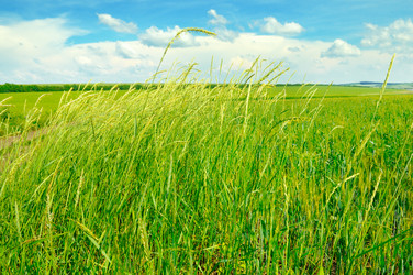 Similar image 13058995