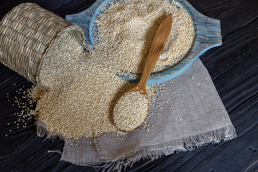 Similar image 13043721