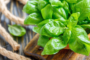 Similar image 13045977