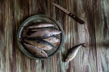 Similar image 13043696