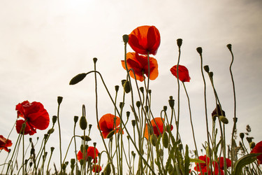 Similar image 13058812