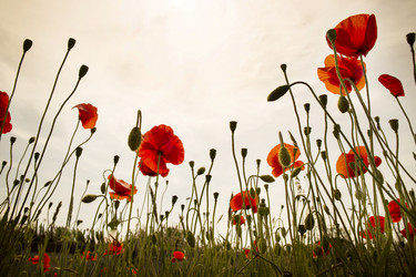 Similar image 13058813