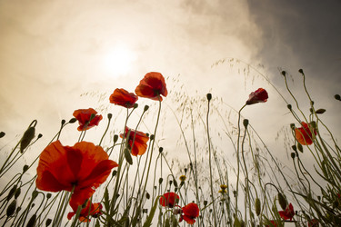 Similar image 13058829