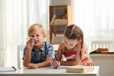 Similar image 13053446